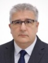  Nenad Vukadinović 